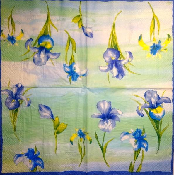 047 Lilies - 3 ply - (blue/blue) - Ihr